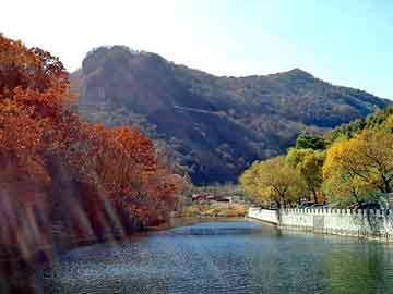 新澳天天开奖资料大全旅游团，超能高手在花都